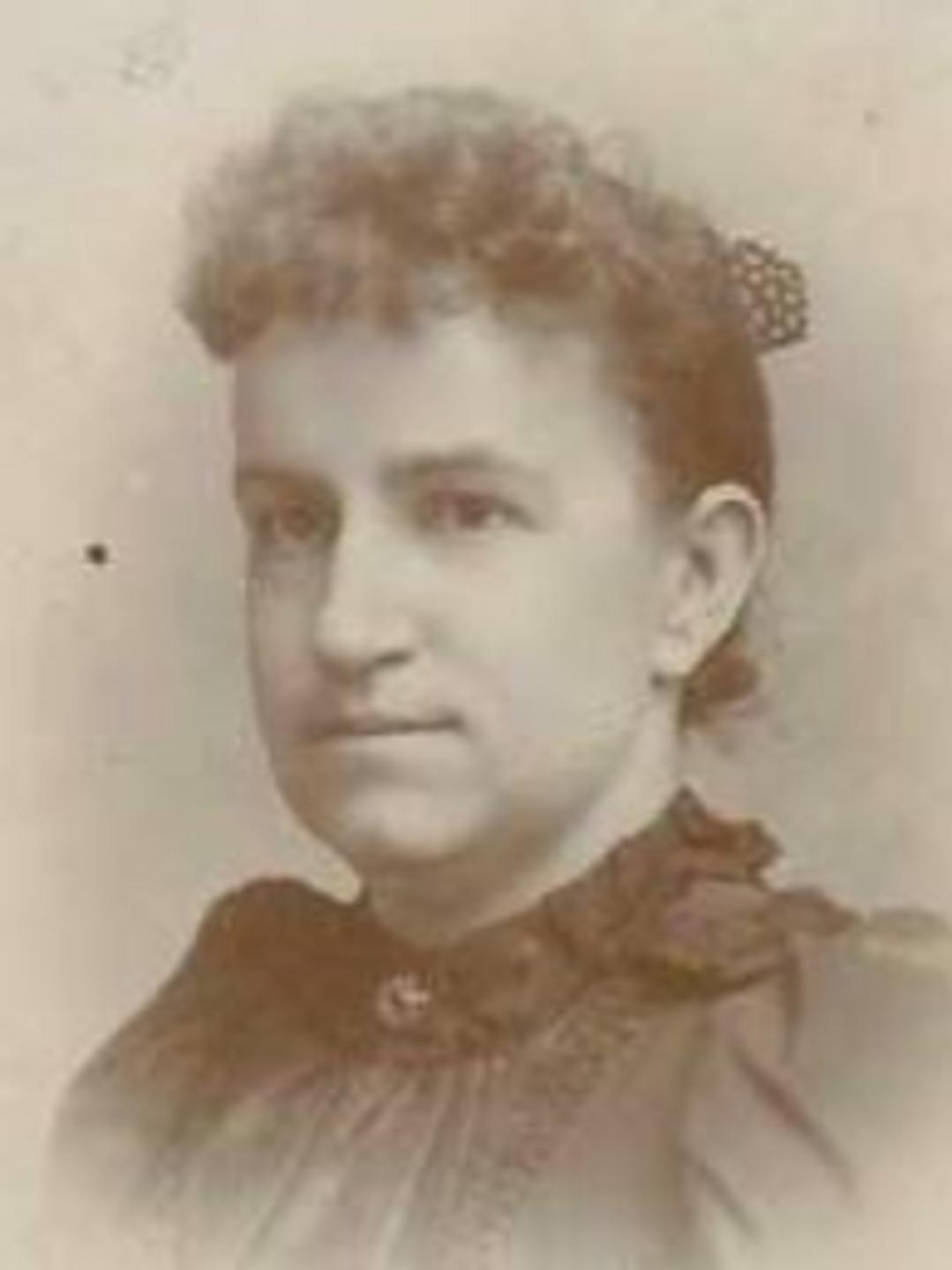 Louisa Taylor (1858 - 1903) Profile